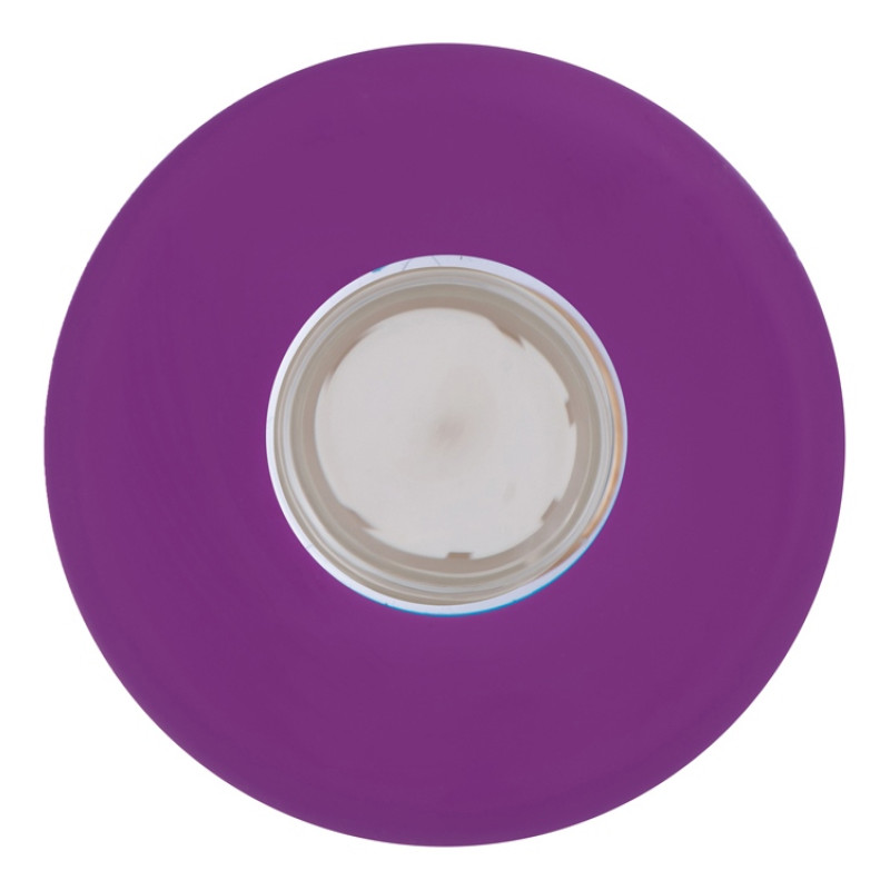 Бутылка для воды стеклянная "Refine", в чехле, 550 мл, фиолетовый