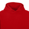 Толстовка с капюшоном оверсайз «Berlin» унисекс, красный