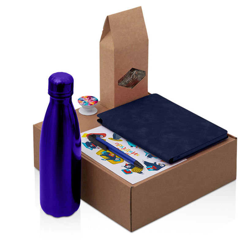 Подарочный набор с термобутылкой, блокнотом, ручкой и чаем, синий