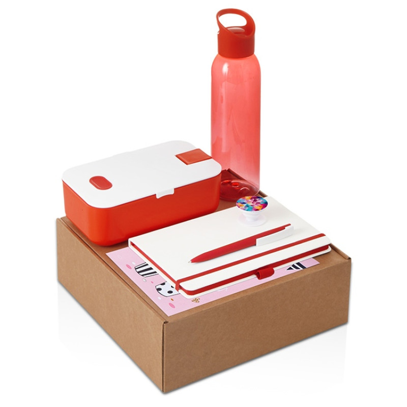 Подарочный набор с бутылкой для воды. блокнотом, ручкой и ланчбоксом, красный