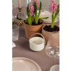 Свеча Valerie Concept с крышкой CNDL 5 PINK, белый/розовый