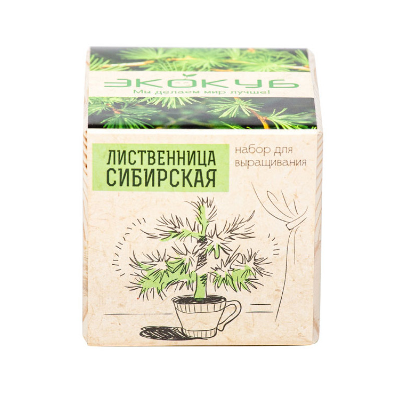 Набор для выращивания "Экокуб Classic "Лиственница Сибирская"