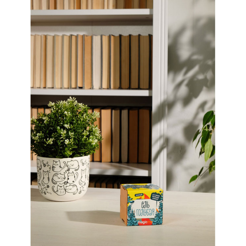 Набор для выращивания "Экокуб Magicme "Ель Голубая"