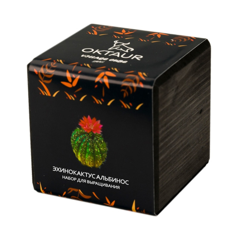 Набор для выращивания "Small village cube "Эхинокактус Альбинос" Набор для выращивания "Small village cube "Эхинокактус Альбинос"