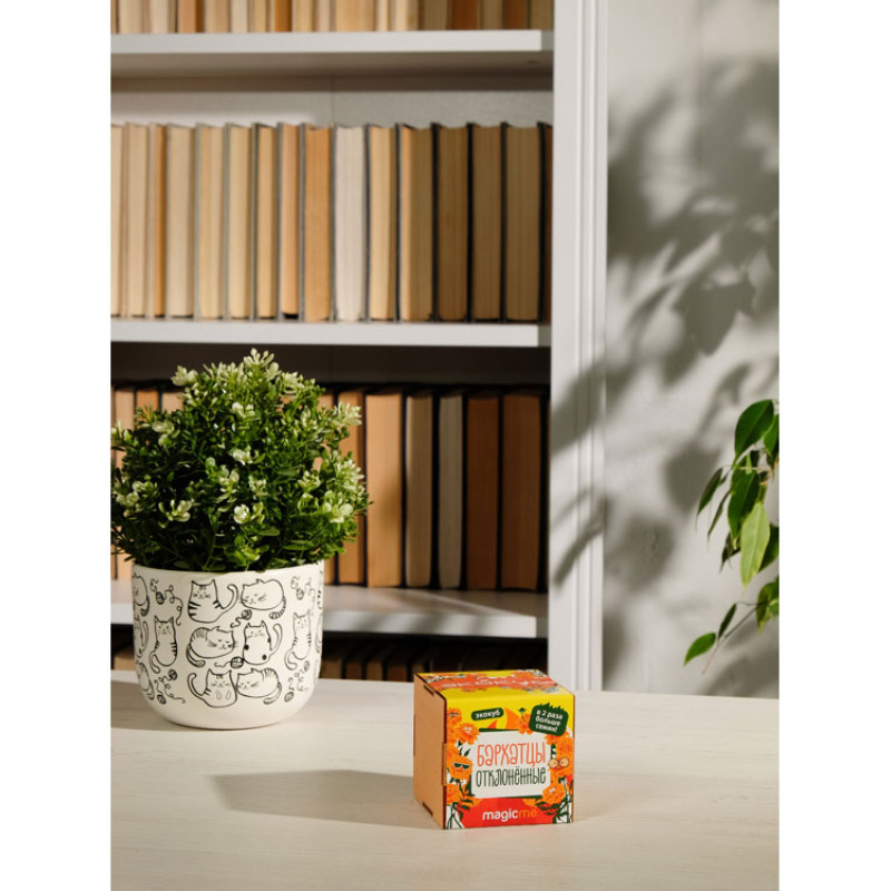 Набор для выращивания "Экокуб Magicme "Бархатцы"