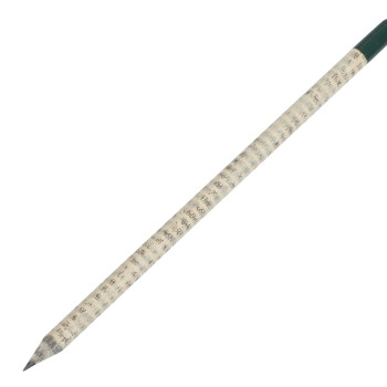 Растущий карандаш с семенами базилика