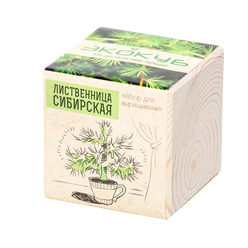 Набор для выращивания "Экокуб Classic "Лиственница Сибирская"