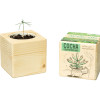 Набор для выращивания "Экокуб Classic "Сосна обыкновенная"