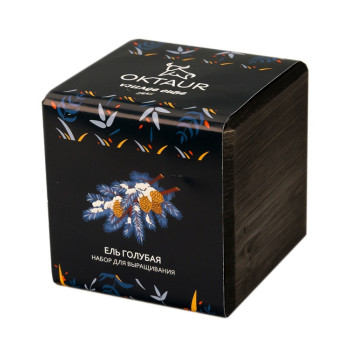 Набор для выращивания "Small village cube "Ель Голубая"