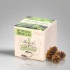 Набор для выращивания "Экокуб Classic "Лиственница Сибирская"