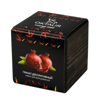 Набор для выращивания "Small village cube "Гранат комнатный"