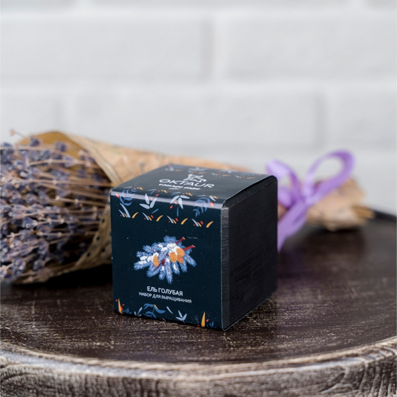 Набор для выращивания "Small village cube "Ель Голубая" Набор для выращивания "Small village cube "Ель Голубая"