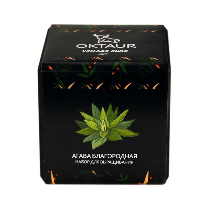 Набор для выращивания "Small village cube "Агава Благородная"