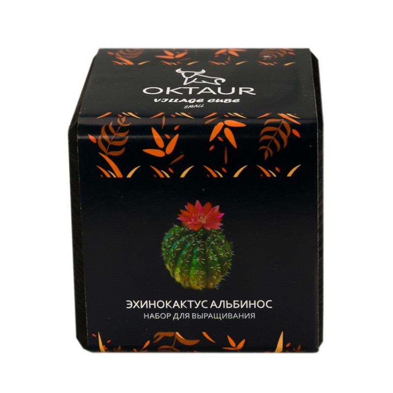 Набор для выращивания "Small village cube "Эхинокактус Альбинос" Набор для выращивания "Small village cube "Эхинокактус Альбинос"