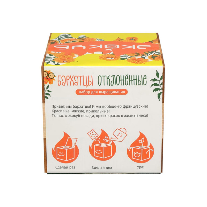 Набор для выращивания "Экокуб Magicme "Бархатцы"
