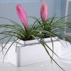 Компактный смарт-сад iGarden
