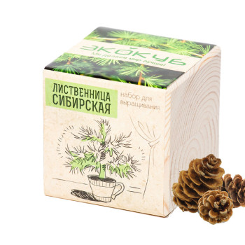 Набор для выращивания "Экокуб Classic "Лиственница Сибирская"
