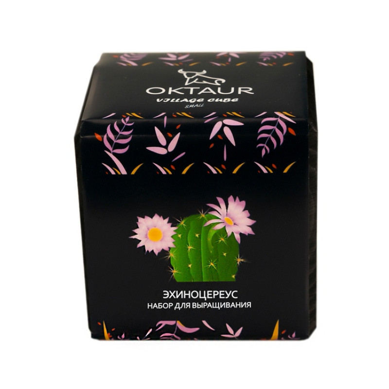 Набор для выращивания "Small village cube "Эхиноцереус" Набор для выращивания "Small village cube "Эхиноцереус"
