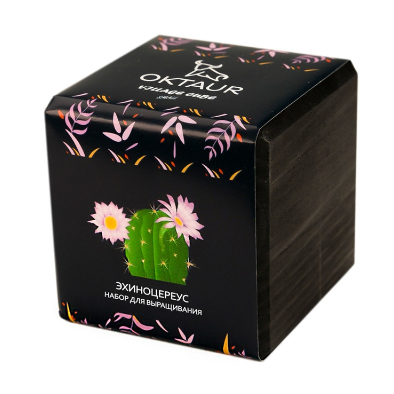 Набор для выращивания "Small village cube "Эхиноцереус" Набор для выращивания "Small village cube "Эхиноцереус"