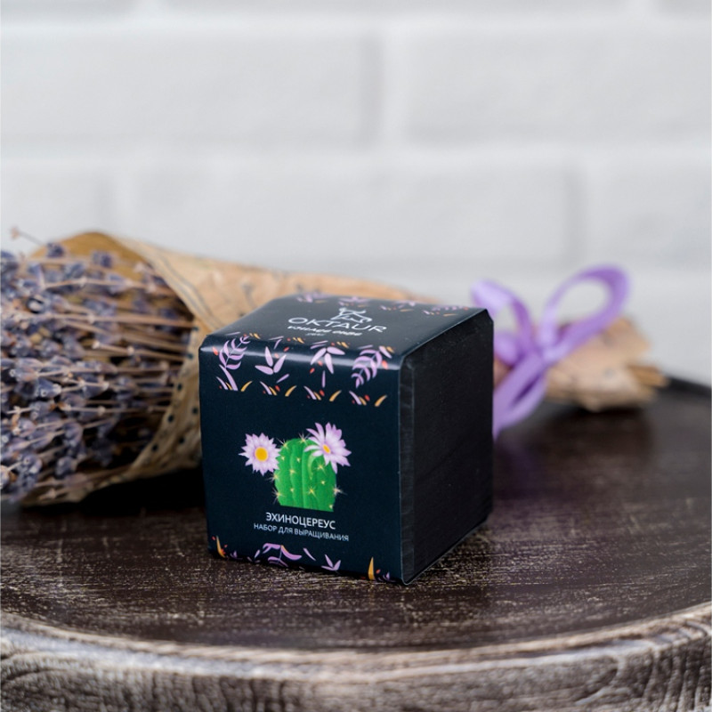 Набор для выращивания "Small village cube "Эхиноцереус" Набор для выращивания "Small village cube "Эхиноцереус"