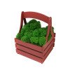 Композиция "Корзинка со мхом", темно-красный