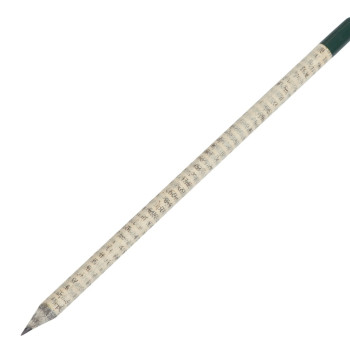 Растущий карандаш с семенами гвоздики