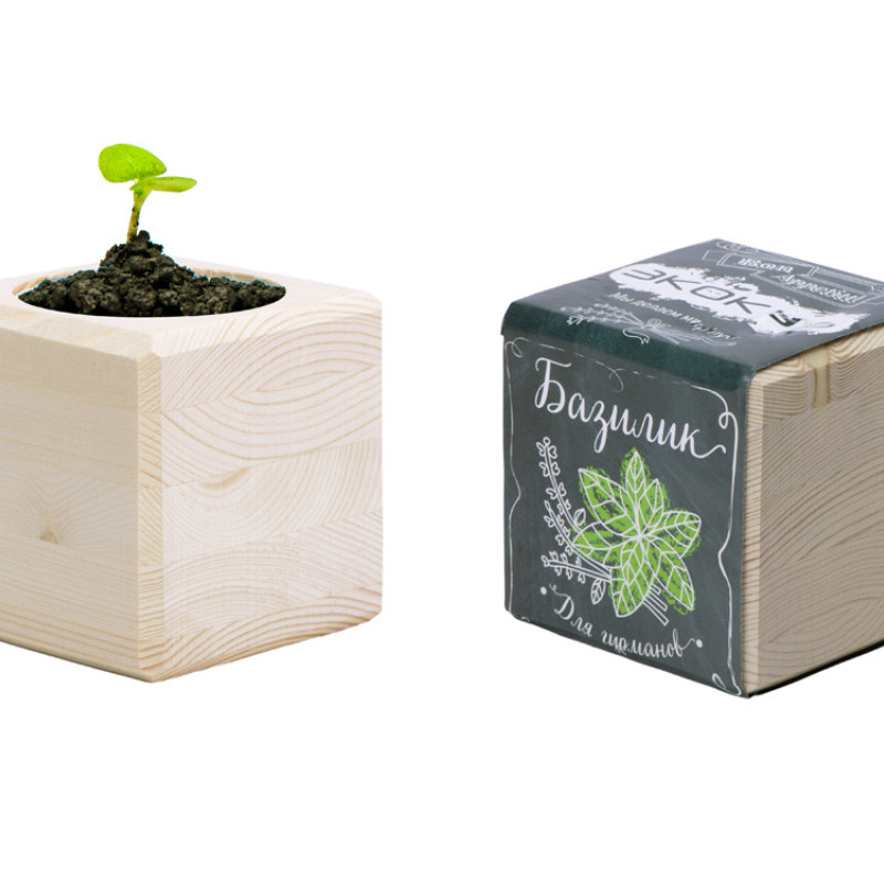 Набор для выращивания "Экокуб Classic "Базилик"