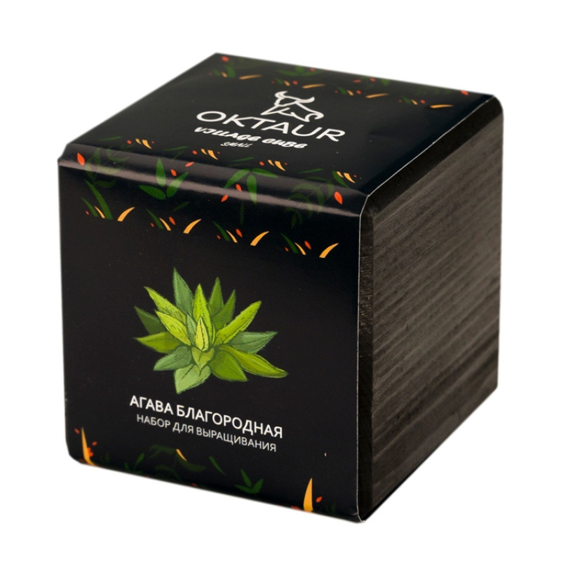 Набор для выращивания "Small village cube "Агава Благородная"