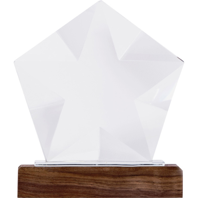 Награда "Interstellar", прозрачный