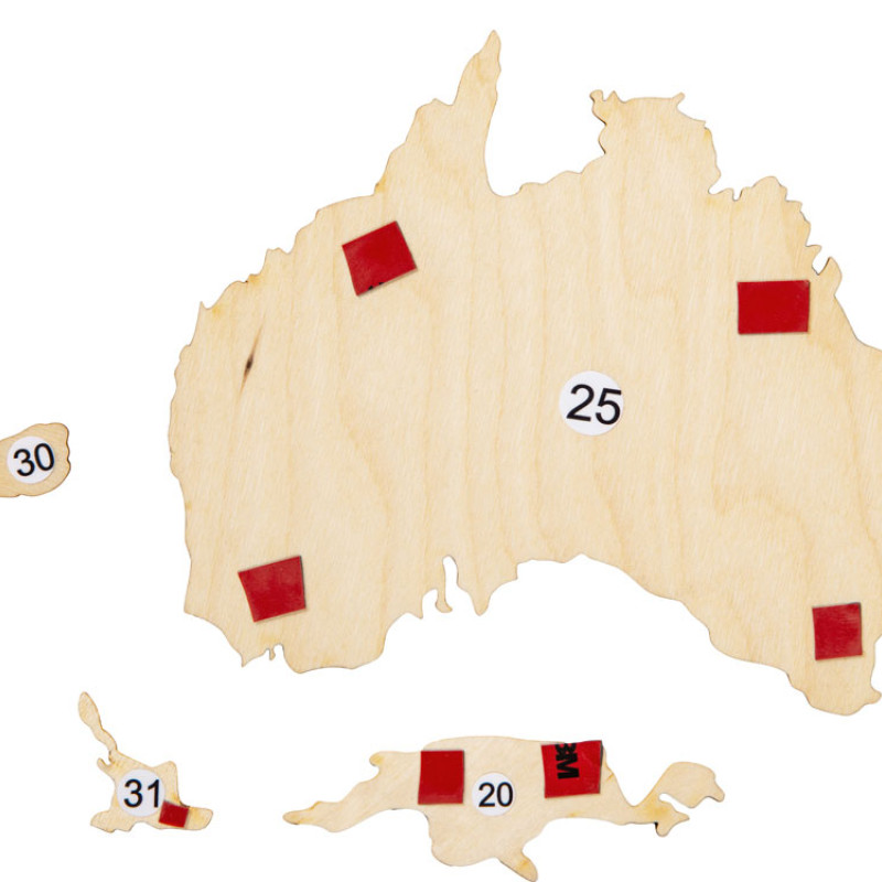 Интерьерная карта мира "World"