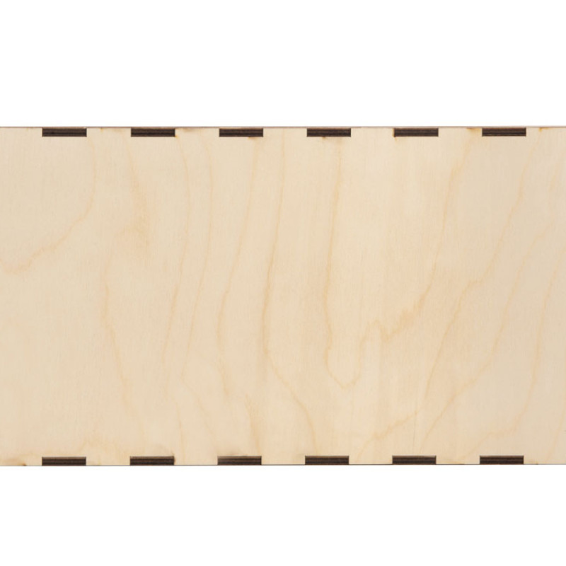 Набор бокалов для шампанского «Сила льва»