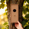 Скворечник DIY
