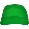 Бейсболка "Basica", папоротниковый