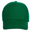 Бейсболка «Florida 350» 5-панельная, зеленый