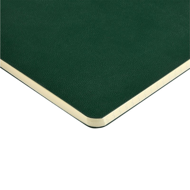 Бизнес тетрадь А5 "Megapolis flex" 60 л. soft touch клетка, зеленый