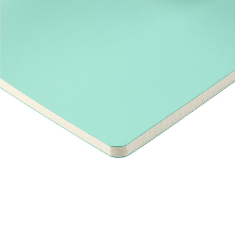 Бизнес тетрадь А5 "Megapolis flex" 60 л. soft touch клетка, зефирный мятный