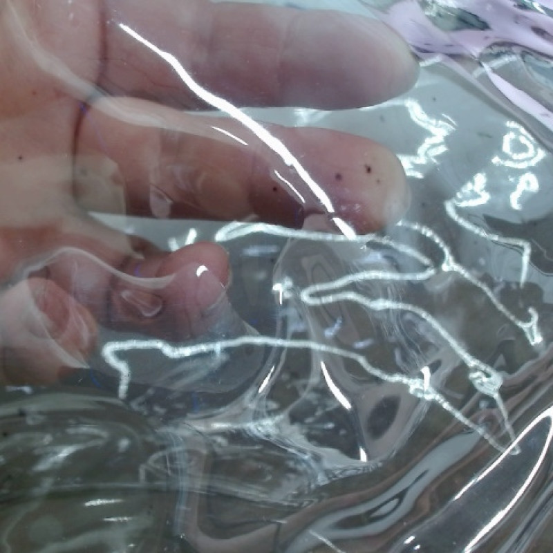 Сумка Frank из прозрачного пластика с регулирующейся лямкой, черный (P)