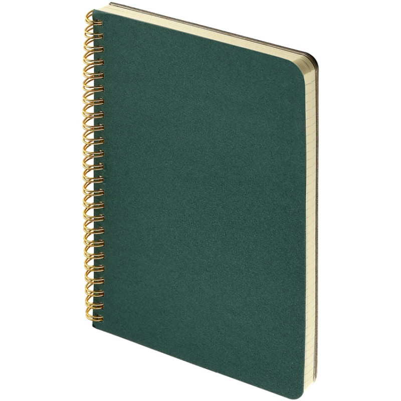 Бизнес тетрадь на гребне А5 "Pragmatic", 60 листов в клетку, зеленый