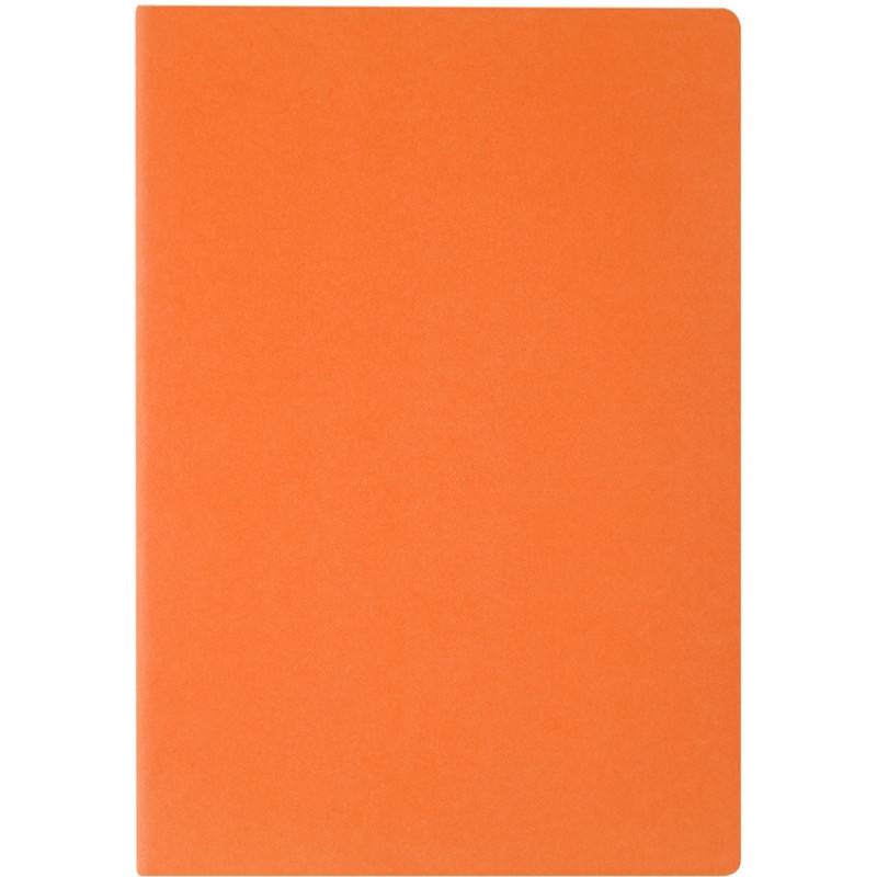 Бизнес тетрадь А5 "Pragmatic", 40 листов в клетку, оранжевый