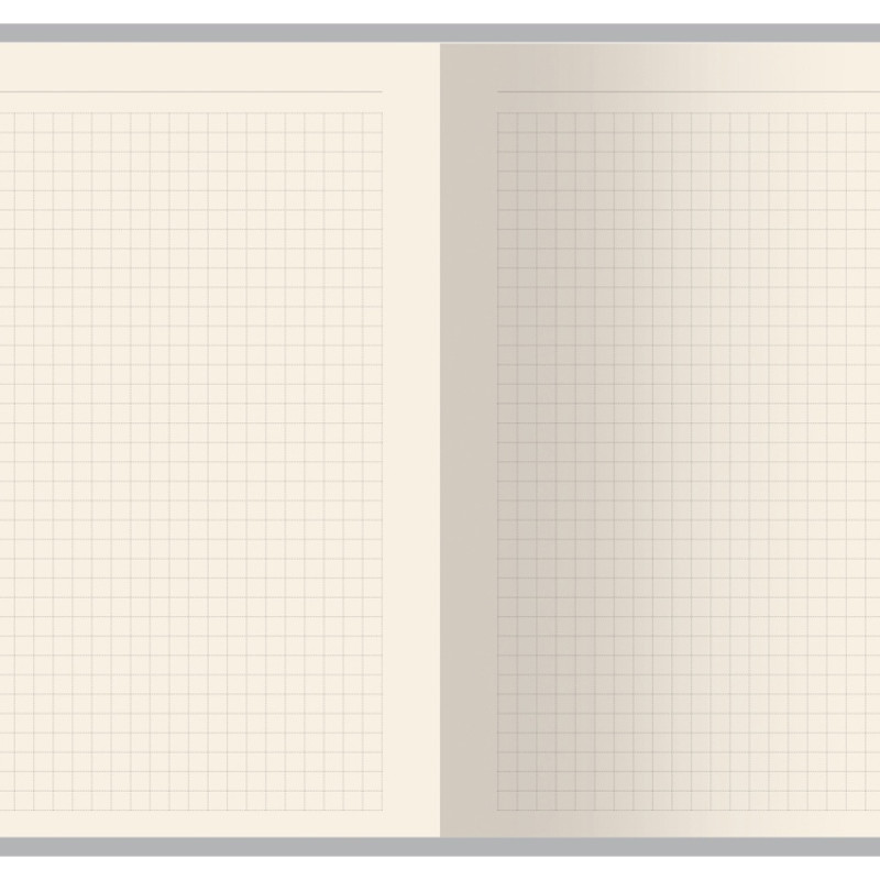 Бизнес тетрадь А5 "Pragmatic", 40 листов в клетку, оранжевый