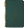 Бизнес тетрадь на гребне А5 "Pragmatic", 60 листов в клетку, зеленый