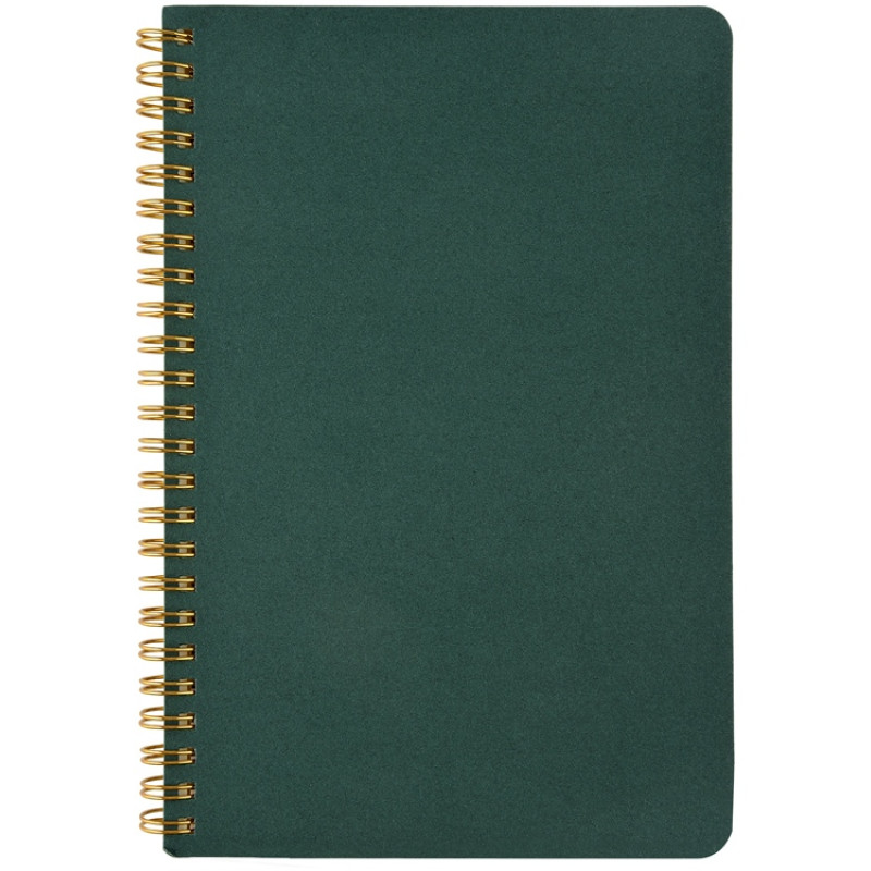 Бизнес тетрадь на гребне А5 "Pragmatic", 60 листов в клетку, зеленый