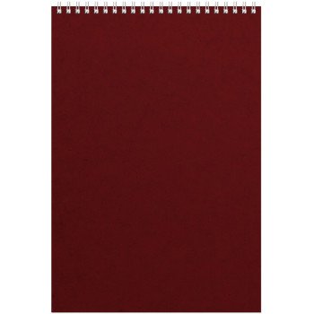 Бизнес - блокнот Альт А4 (198 х 285 мм) "Office" 60 л., бордовый