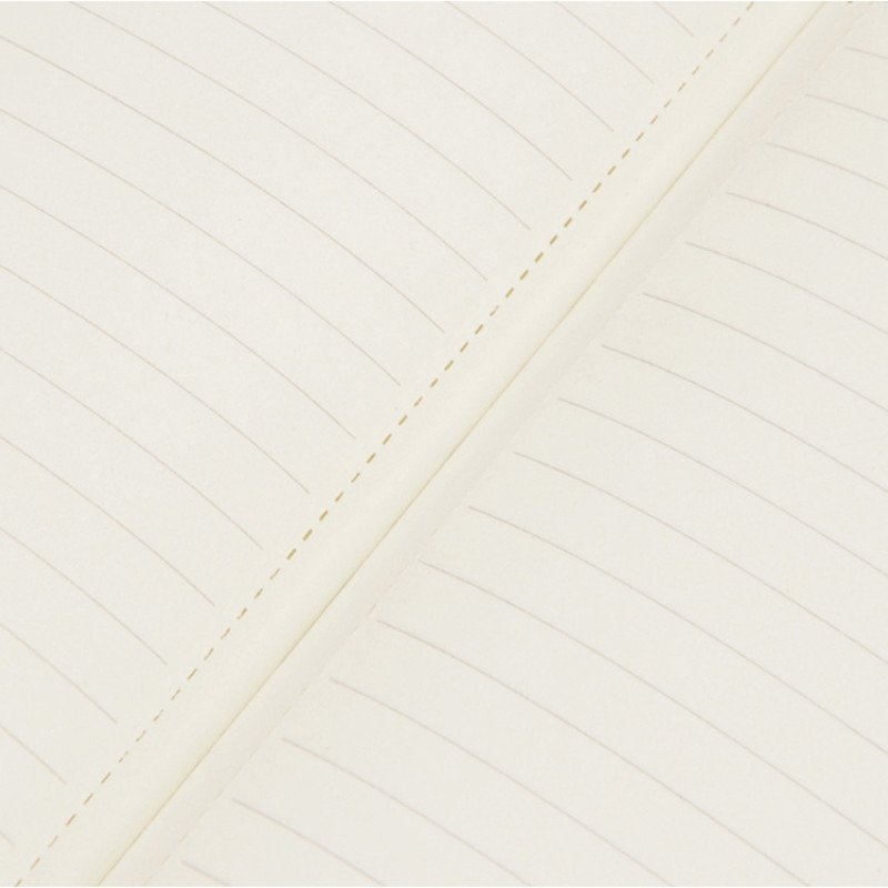 Блокнот «Notepeno» А5 с тонированными линованными страницами, зеленое яблоко