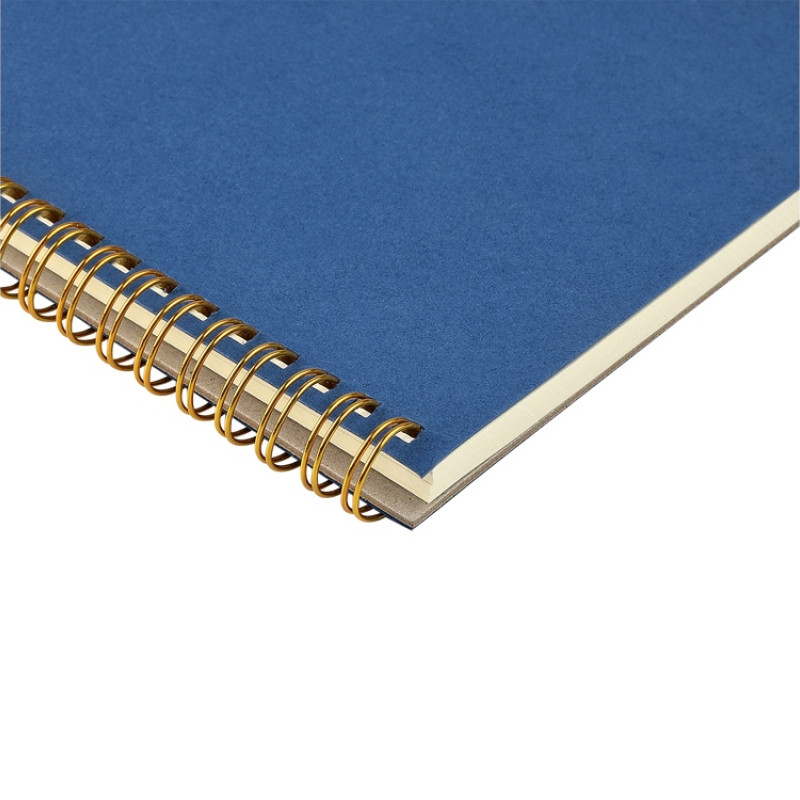 Бизнес тетрадь на гребне А5 "Pragmatic", 60 листов в клетку, синий