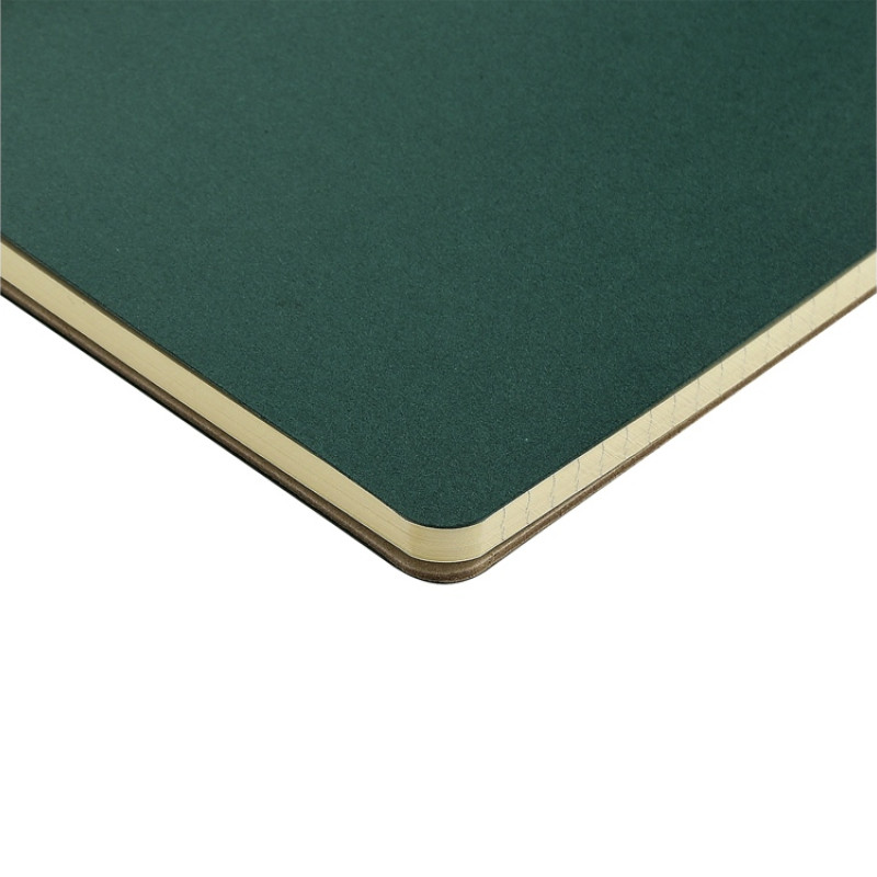 Бизнес тетрадь на гребне А5 "Pragmatic", 60 листов в клетку, зеленый