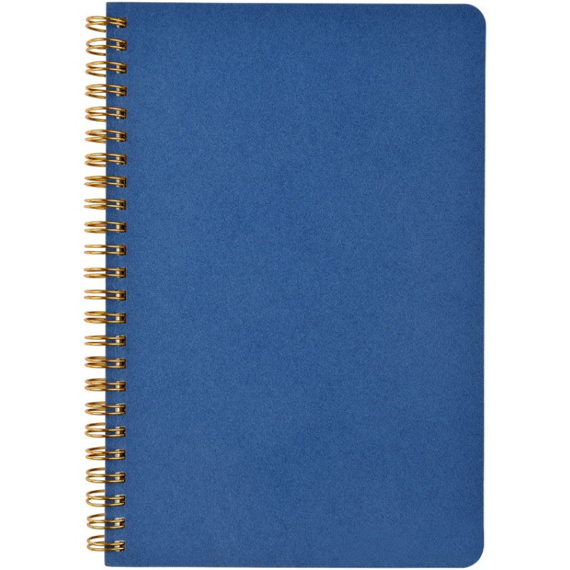 Бизнес тетрадь на гребне А5 "Pragmatic", 60 листов в клетку, синий