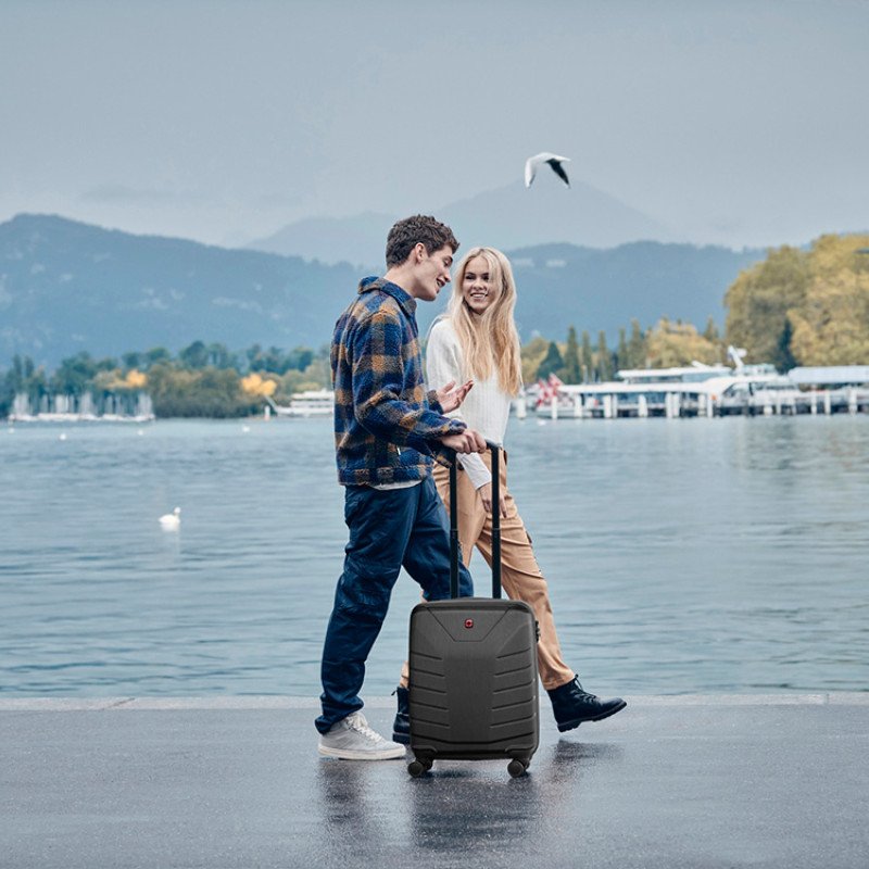 Чемодан WENGER Pegasus, черный, поликарбонат+АБС-пластик, большой, 52х76х30 см, 99 л.