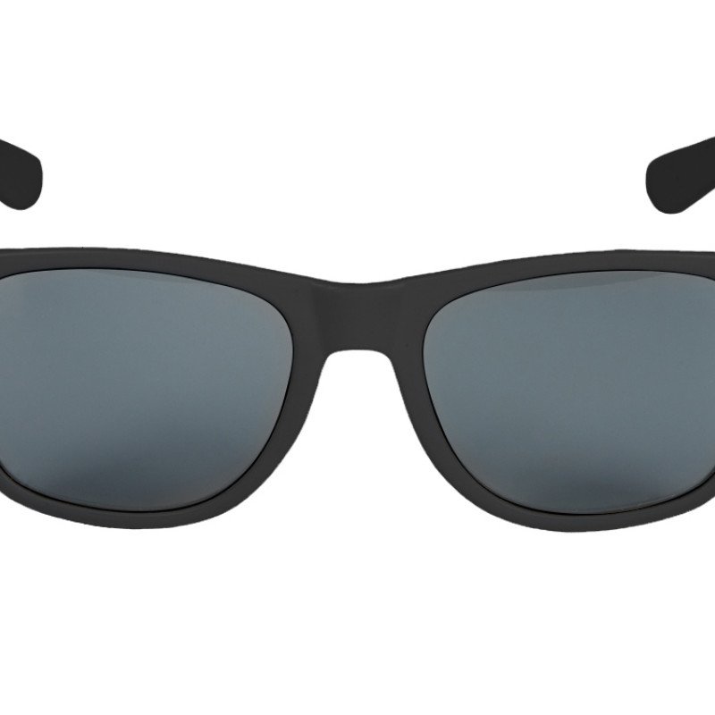 Очки солнцезащитные "Panda" из RPET, черный (Р)