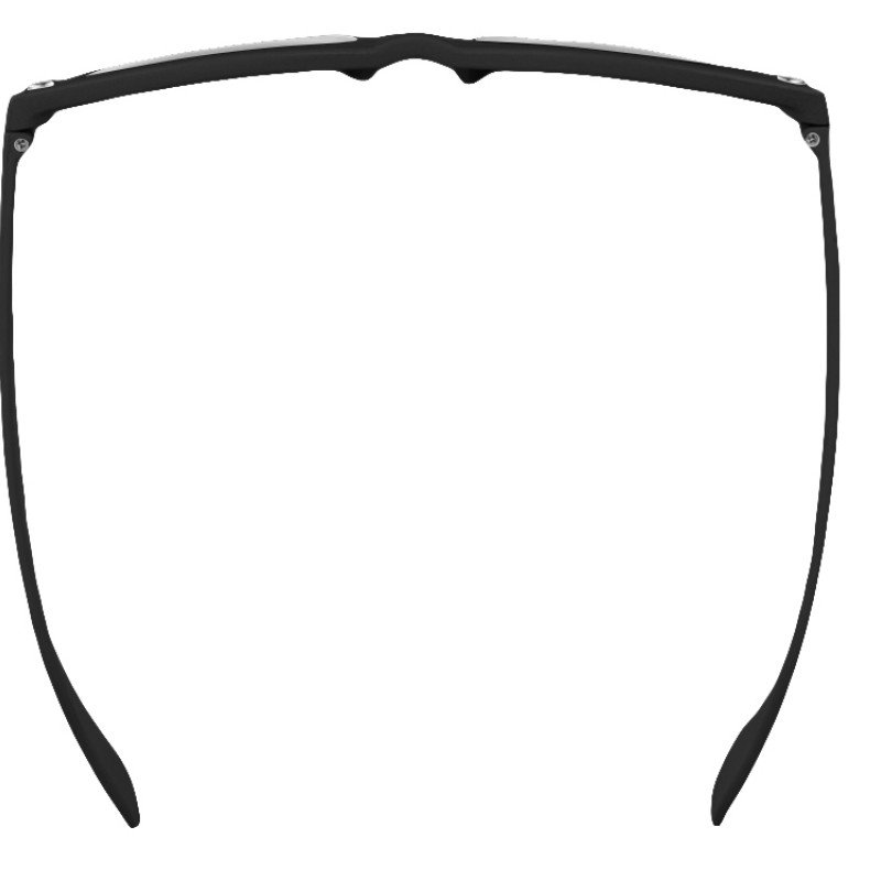 Очки солнцезащитные "Panda" из RPET, черный (Р)